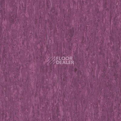 Линолеум Tarkett iq Optima Purple 0255 фото 1 | FLOORDEALER